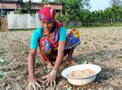 বাংলাদেশে সমান পারিশ্রমিকের বাস্তবতা ও বৈশ্বিক প্রেক্ষাপট