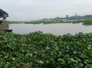 লাশ গুম করতে নদীকে ব্যবহার করছে অপরাধীরা