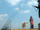 ‘ভারত-বাংলাদেশের কাঁটাতারের বেড়া আমরা রাখবো না‌’