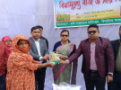 ঝিনাইদহে ২৫০০ কৃষকের মাঝে বিনামূল্যে বীজ ও সার বিতরণ