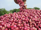 রবিবার থেকে সীমিত আকারে পেঁয়াজ আমদানির অনুমতি