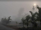 রাতে বাড়বে শীত, উত্তরাঞ্চলে ঘন কুয়াশার আভাস