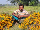 ঝিনাইদহে ফুলের দামে হতাশ চাষীরা