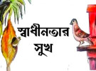 স্বাধীনতার সুখ