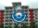 শিক্ষকতার পাশাপাশি ‘কাজি’ পেশা, ২৯ শিক্ষককে মাউশির শোকজ