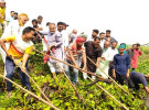 কোটালীপাড়ায় খালের কচুরিপানা পরিস্কার করলেন সংসদ সদস্য এস এম জিলানী