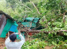কাপ্তাইয়ে ঝড়ে উপড়ে পড়ল গাছ, দুই বসতঘর বিধ্বস্ত, অল্পের জন্য রক্ষা