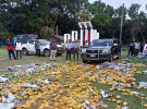 দেবহাটায় প্রায় ১ হাজার কেজি অপদ্রব্য মেশানো আম বিনষ্ট