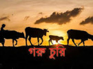 ঈশ্বরদীতে গভীর রাতে খামার থেকে ৬ লাখ টাকার গরু চুরি