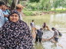 দিনাজপুরে বাণিজ্যিকভাবে জীবন্ত বড় মাছ উৎপাদনে নারী উদ্যোক্তা সুরাইয়ার সাফল্য 