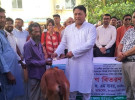 গোপালগঞ্জে ৬০ জন নিবন্ধিত মৎস্যজীবীর মাঝে বকনা বাছুর বিতরণ