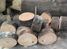 তেঁতুল কাঠের খাইট্টায় হবে মাংস কাটা