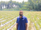 ফরিদপুরে ৮ বিঘা জমিতে আনারস চাষ করে তাক লাগিয়ে দিলেন কৃষক মিলন