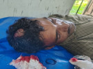 সুন্দরবনের বনদস্যু নানা বাহিনী ডন’র সদস্য পরিচয়ে ৬ জেলেকে অপহরণ