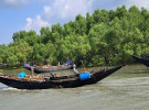 মুক্তিপণ দিয়েও ছাড়া পাননি সুন্দরবনে অপহৃত চার জেলে