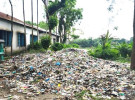 বঙ্গতাজ তাজউদ্দীন স্কুলের জানালা ঘেঁষে ময়লা, ভোগান্তিতে শিক্ষার্থীরা