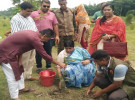 নড়াইলে বৃক্ষরোপন কর্মসূচির উদ্বোধন