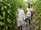 আজও হয়নি সালথার সোনাডাঙ্গী গ্রামে যাতায়াতের সেই রাস্তাটি