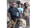 চিকিৎসা নিতে নিজেই প্রাইভেট ক্লিনিকে হাজির অসুস্থ হুনুমান 
