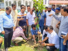 সাতক্ষীরায় জেলা পরিষদের উদ্যোগে বৃক্ষরোপণ কর্মসূচির উদ্বোধন 