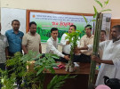 সুবর্ণচরে ফলজ, বনজ, ঔষধি গাছ বিতরণ 