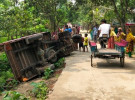 সোনাতলায় গরুভর্তি ভটভটি উল্টে প্রাণ গেল সাবেক ইউপি সদস্যের
