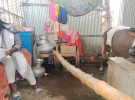 গোয়ালঘরে বাস করা মেয়েটির ভাগ্যেও জুটলো না শিক্ষাবৃত্তি