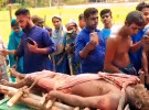 নিখোঁজের পরদিন বনে মিললো বৃদ্ধের লাশ, বন্যহাতির আক্রমণে নিহত দাবি