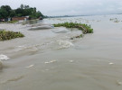 হু হু করে বাড়ছে তিস্তার পানি, দিশেহারা চরাঞ্চলের মানুষ