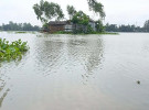 আকস্মিক বন্যায় প্লাবিত কুড়িগ্রামের নিম্নাঞ্চল, পানিবন্দী প্রায় ১০ হাজার মানুষ