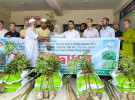 ফুলপুরে বিনামূল্যে গাছের চারা বিতরণ ও সার বিতরণ 
