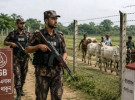 সাতক্ষীরা সীমান্তে ভারতীয় চোরাকারবারীদের লক্ষ্য করে বিজিবির গুলি 