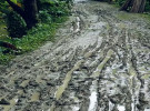 বর্ষায় কাদার সাগরে বনগ্রামের রাস্তা, ইটের সড়কের দাবিতে শতাধিক পরিবারের আকুতি