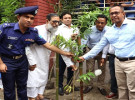 ফরিদপুরে ‘প্রাথমিক শিক্ষা পদক’ ও বৃক্ষরোপণ কর্মসূচির উদ্বোধন