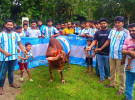 ফাইনাল উপভোগে গরু জবাই করে ভূরিভোজের আয়োজন 