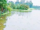 জলাবদ্ধতায় সহস্র একর জমি, বিপাকে কৃষকেরা, চায় কালভার্ট