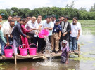 গোপালগঞ্জের বিলে মৎস্য অবমুক্ত ও বৃক্ষরোপণ উদ্বোধন করেছেন এমপি বাবর 