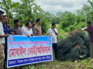 সালথায় ৩৫টি নিষিদ্ধ চায়না দুয়ারি জাল ধ্বংস