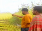 সালথায় হত্যা মামলার পর গ্রেপ্তার আতংকে গ্রাম পুরুষশূন্য, পাট কাটতে বাঁধা দেওয়ার অভিযোগ
