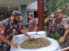 সাতক্ষীরায় বিজিবির অভিযানে ৬ কোটি টাকার ‘কুশ’ জব্দ, আটক ১