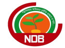 দেশের ২৩তম রাষ্ট্রপতি হিসেবে মির্জা ফখরুলকে চান এনডিবি