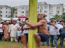 তৈলাক্ত কলা গাছ বেয়ে ওঠা প্রতিযোগিতা