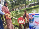 রাজারহাটে জাতীয় মৎস্য পক্ষের উদ্বোধন, পুকুরে পোনা অবমুক্ত