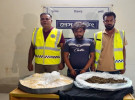 ঈশ্বরদীতে শনপাপড়ির ডালায় গাঁজা, যুবক গ্রেপ্তার