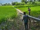 লৌহজংয়ে অবৈধ বালু ভরাট বন্ধে মোবাইল কোর্ট, ৩ কিলোমিটার পাইপ ধ্বংস
