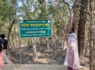 সুন্দরবনে ৩ দিন ধরে টেলিটকের নেটওর্য়াক নেই, বিপাকে পর্যটকসহ জেলে বনরক্ষীরা