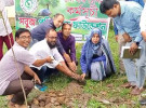 বজ্রপাতের ঝুঁকি কমাতে তালবীজ রোপণ করলেন রাজারহাট ইউএনও
