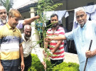 কাপাসিয়ায় বিএনপির ৪৮তম প্রতিষ্ঠাবার্ষিকী উপলক্ষে বৃক্ষরোপণ ও মাছের পোনা অবমুক্তকর
