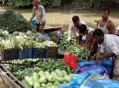 বাগেরহাটে নৌকায় শতবর্ষী সবজির হাট, মৌসুমে বেচাকেনা ৪ কোটি টাকা