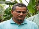 মুকসুদপুরে বাসের চাপায় পথচারী নিহত